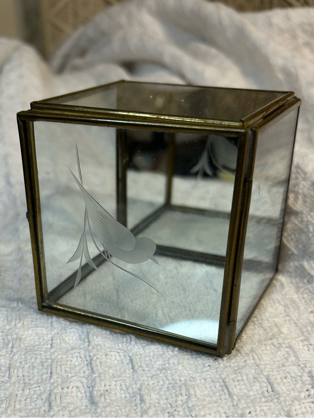 ✨ Vintage Brass/Glass Display